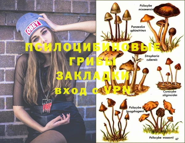 винт Алзамай