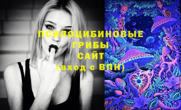 винт Алзамай