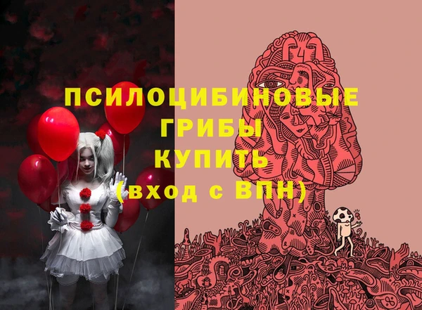 винт Алзамай