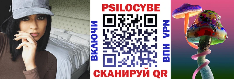 блэк спрут онион  Красноярск  Псилоцибиновые грибы прущие грибы  где продают  