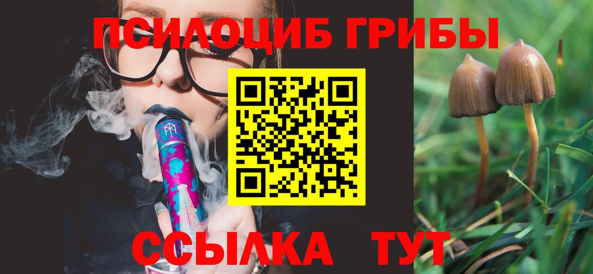 Псилоцибиновые грибы Cubensis Красноярск